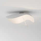 Stud Wall Lamp