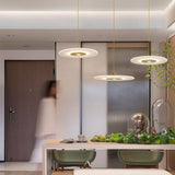 Franken Pendant Light