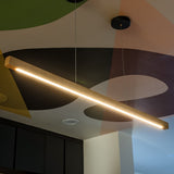 Cornice Pendant Light