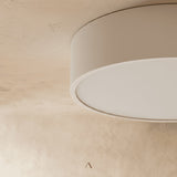 Genner Ceiling Light
