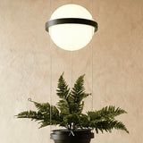 Givskud Pendant Light