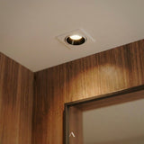 Gram Downlight
