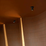 Anneal Downlight