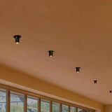 Anneal Downlight