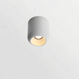 Rhyolite Downlight