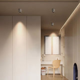 Rhyolite Downlight