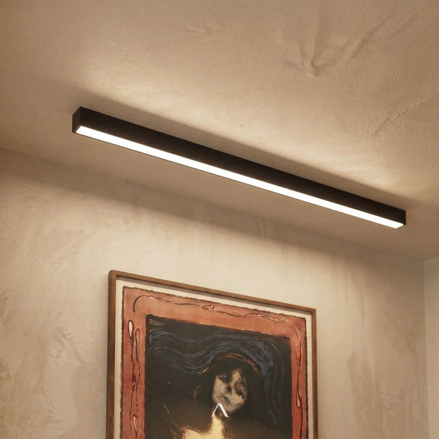 Grommet Ceiling Light