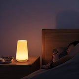 Rudder Table Lamp