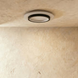 Halyard Ceiling Light