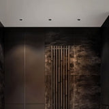 Pyrite Downlight