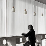 Hatzenport Pendant Light