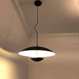 Schelde Pendant Light