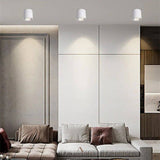 Hematite Downlight