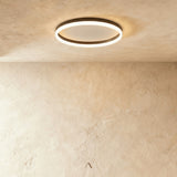 Hitch Ceiling Light