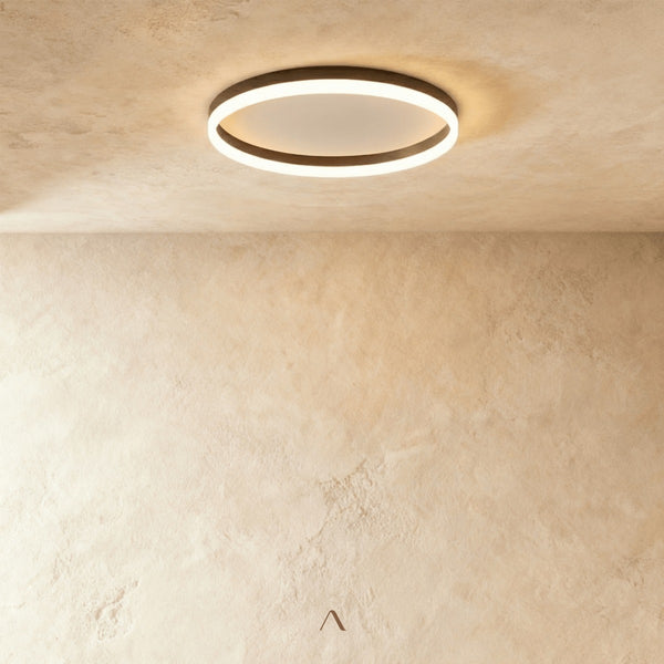 Hitch Ceiling Light