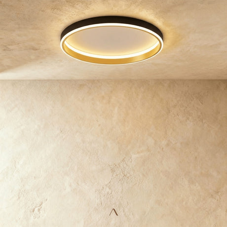Hitch Ceiling Light