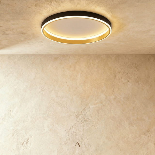 Hitch Ceiling Light