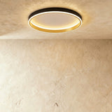 Hitch Ceiling Light