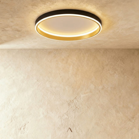 Hitch Ceiling Light