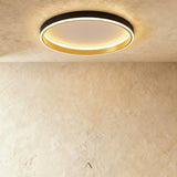 Hitch Ceiling Light
