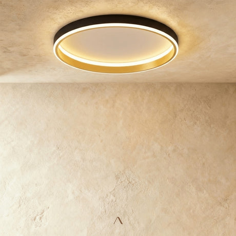 Hitch Ceiling Light