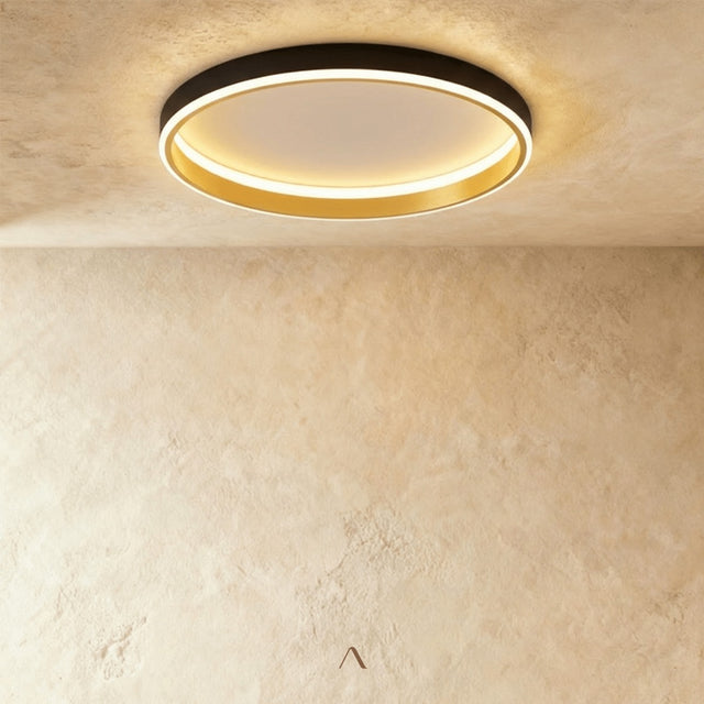 Hitch Ceiling Light