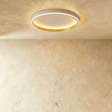 Hitch Ceiling Light