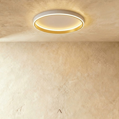 Hitch Ceiling Light