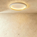 Hitch Ceiling Light