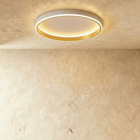 Hitch Ceiling Light