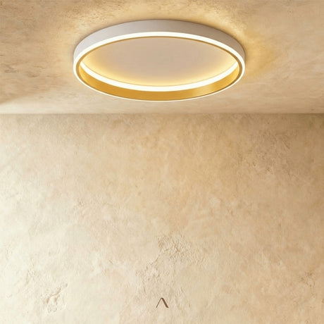 Hitch Ceiling Light