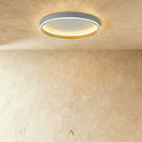 Hitch Ceiling Light
