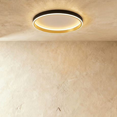 Hitch Ceiling Light
