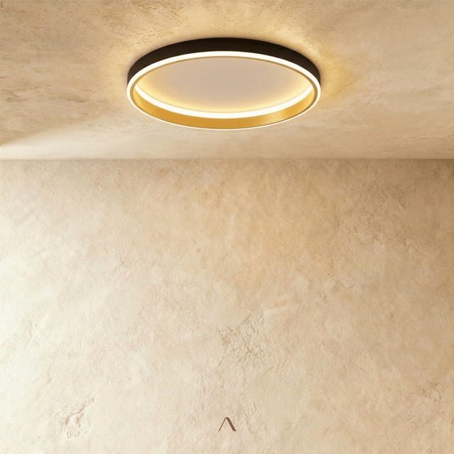 Hitch Ceiling Light