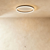 Hitch Ceiling Light