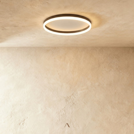 Hitch Ceiling Light