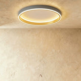 Hitch Ceiling Light