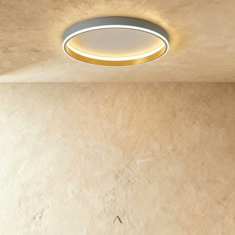 Hitch Ceiling Light