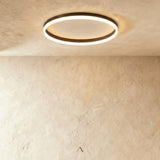 Hitch Ceiling Light