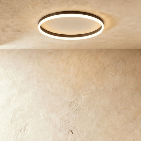 Hitch Ceiling Light
