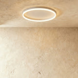 Hitch Ceiling Light