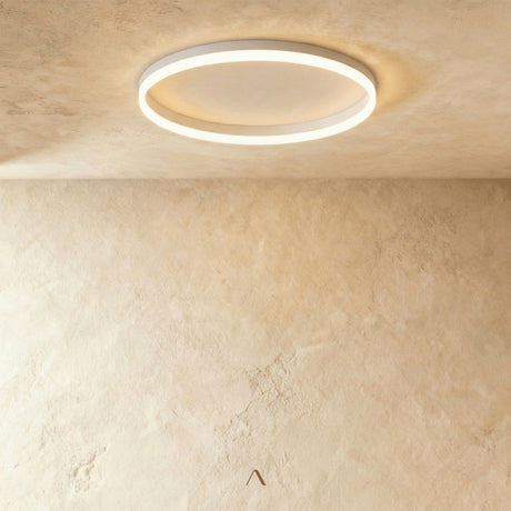 Hitch Ceiling Light