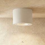 Hornfels Downlight