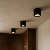 Hornfels Downlight