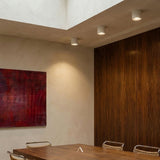 Hornfels Downlight
