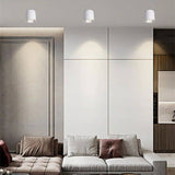 Hematite Downlight