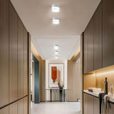 Tapio Downlight