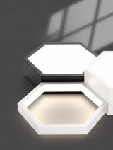 Trim Ceiling Light