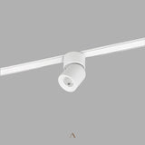 Ifs Track Light