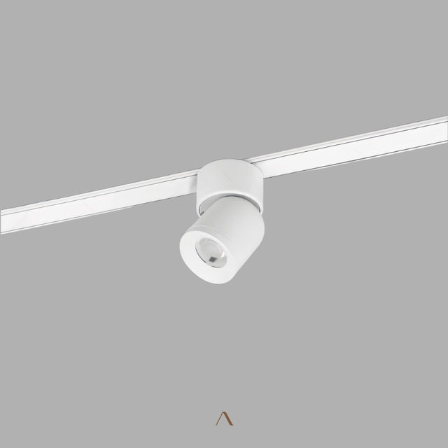 Ifs Track Light